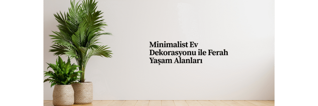 Minimalist Ev Dekorasyonu ile Ferah Yaşam Alanları