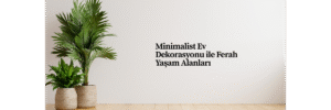 Minimalist Ev Dekorasyonu ile Ferah Yaşam Alanları