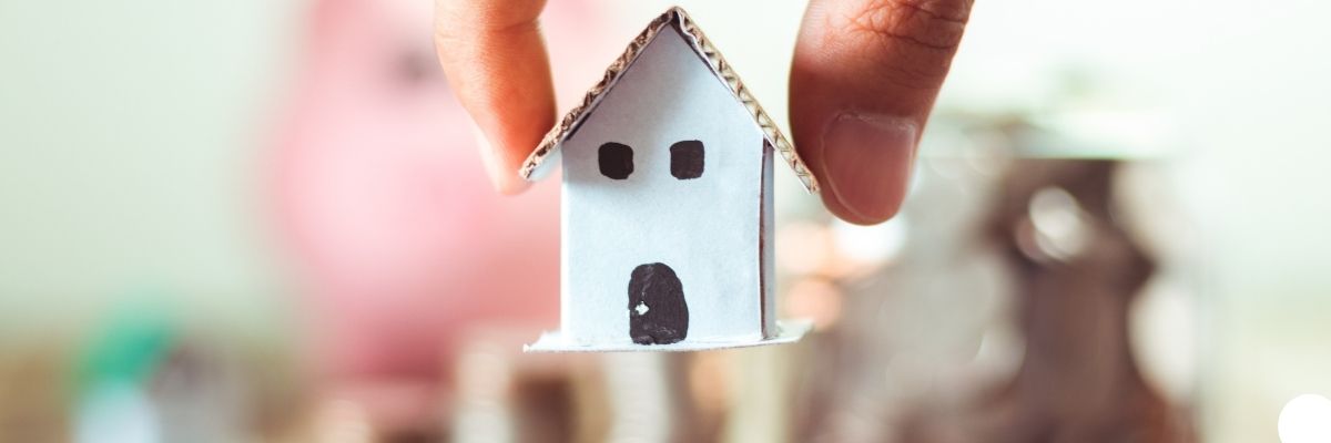 Tapuda Cins Tashişi Rehberi